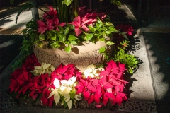 2013-12-11 WDW Christmas