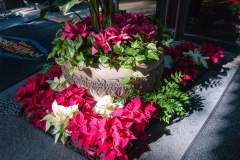 2013-12-11 WDW Christmas