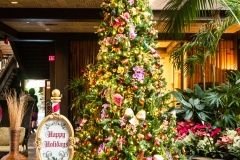 2013-12-11 WDW Christmas