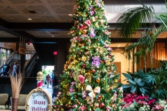 2013-12-11 WDW Christmas