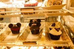 2013-12-11 WDW Christmas