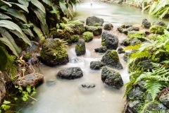 2013-12-11 WDW Christmas