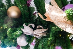 2013-12-11 WDW Christmas