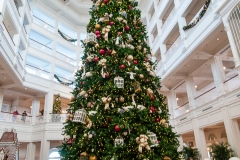 2013-12-11 WDW Christmas