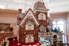 2013-12-11 WDW Christmas