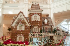 2013-12-11 WDW Christmas