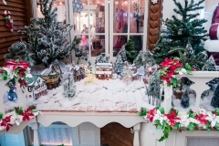 2013-12-11 WDW Christmas