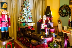 2013-12-11 WDW Christmas