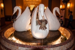 2013-12-11 WDW Christmas