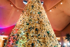 2013-12-11 WDW Christmas