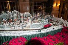 2013-12-11 WDW Christmas