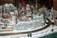 2013-12-11 WDW Christmas