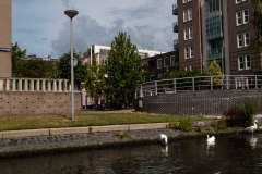 2013 Amsterdam Netherlands