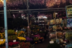 2013 Amsterdam Netherlands