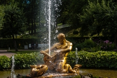 2013 Petrohof Grand Palace St. Petersburg Russia