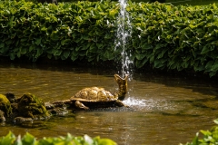 2013 Petrohof Grand Palace St. Petersburg Russia