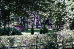 2013 Petrohof Grand Palace St. Petersburg Russia