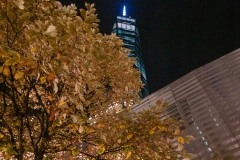 NYC October 2014