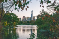 NYC October 2014