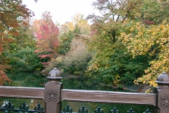 NYC October 2014