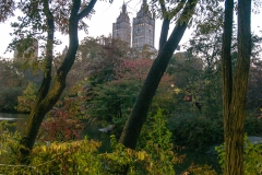 NYC October 2014