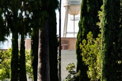 Hollywood CA August 2015