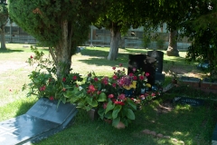 Hollywood CA August 2015