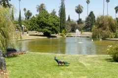 Hollywood CA August 2015