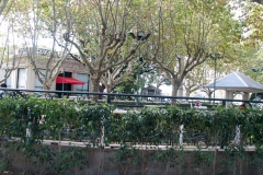 Buenos Aires Hippodrome