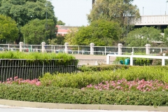 Buenos Aires Hippodrome