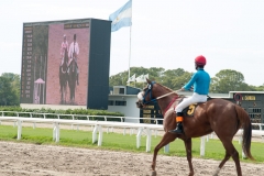 Buenos Aires Hippodrome