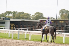 Buenos Aires Hippodrome