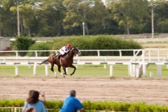 Buenos Aires Hippodrome