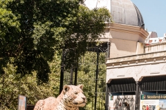 Buesnos Aires Zoo