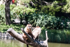Buesnos Aires Zoo