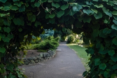 2015 Canterbury England