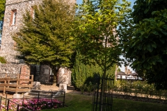 2015 Canterbury England