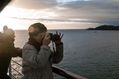 Cape Horn