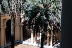 Casa Rosda