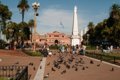 Casa Rosda