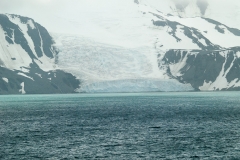 2015 Elephant Island Antartica
