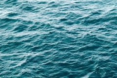 2015 Elephant Island Antartica