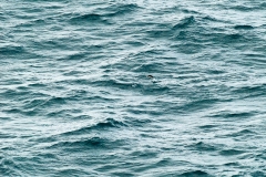 2015 Elephant Island Antartica