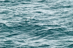 Elephant Island