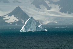 2015 Elephant Island Antartica