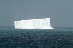 2015 Elephant Island Antartica