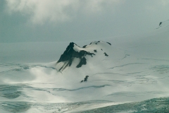 Elephant Island