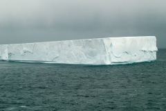 2015 Elephant Island Antartica