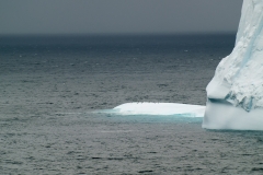 2015 Elephant Island Antartica