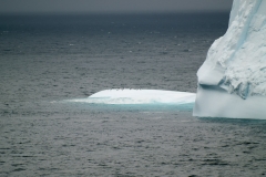 2015 Elephant Island Antartica